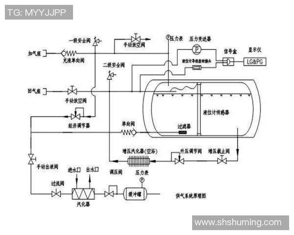 LNG战队近期表现分析与未来发展方向的深度探讨 LNG战队近期表现分析与未来发展方向的深度探讨