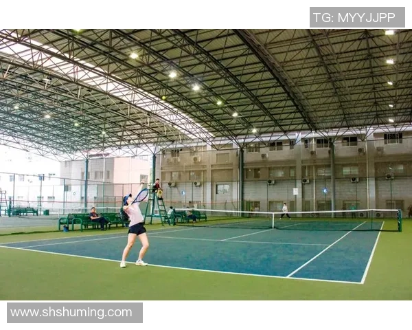 北京网球队状态分析：聚焦训练与比赛表现的全面评估