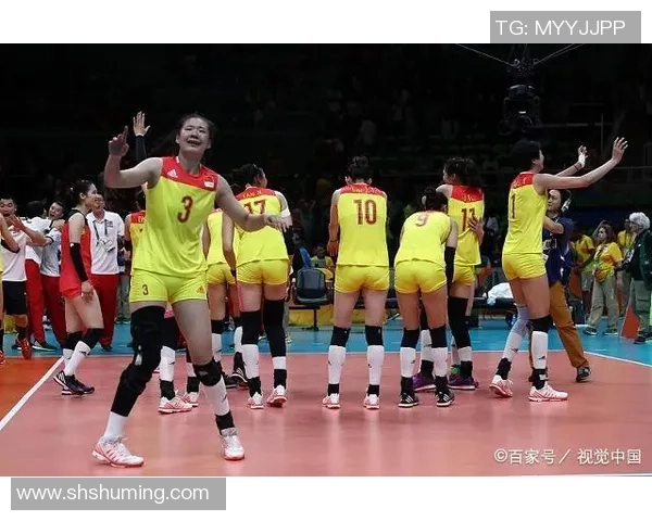 北京排球队状态对比深度解析与未来发展趋势探讨